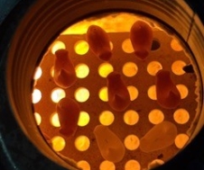 fot2 Dorota Krogulec