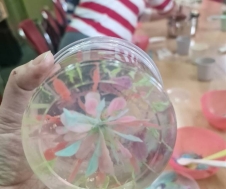 499764145_1001485402150334_4399255598106015511_n
