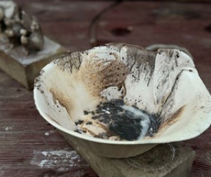 fot25 Dorota Krogulec