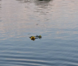517395732_1034071808891693_2030377254421394040_n